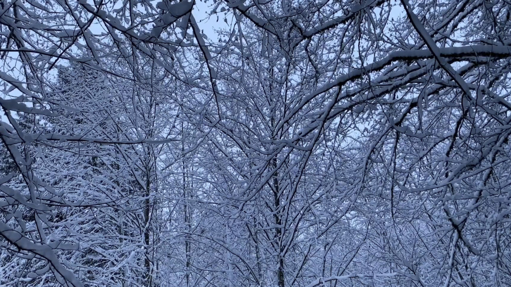 FB Momentum Week #4 Mental Health Focus: Guided Relaxation